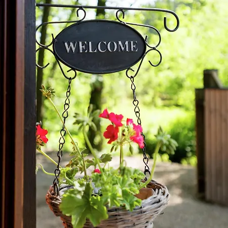 Nature Retreat In *