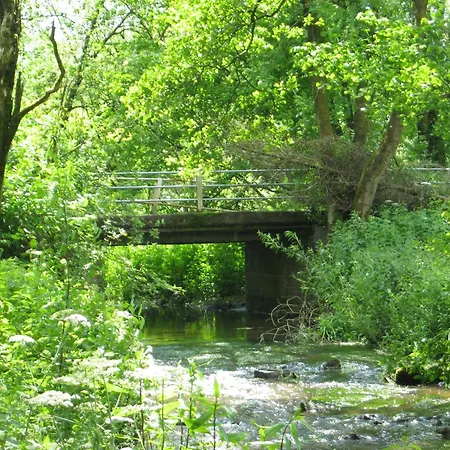 Nature Retreat In