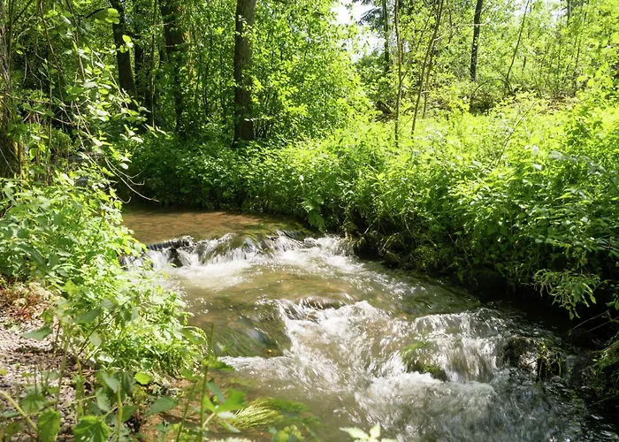 Hébergement de vacances Nature Retreat In *